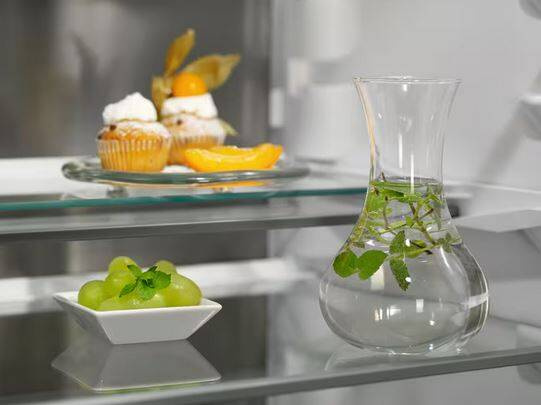 Lodówka Electrolux ENP7MD19S